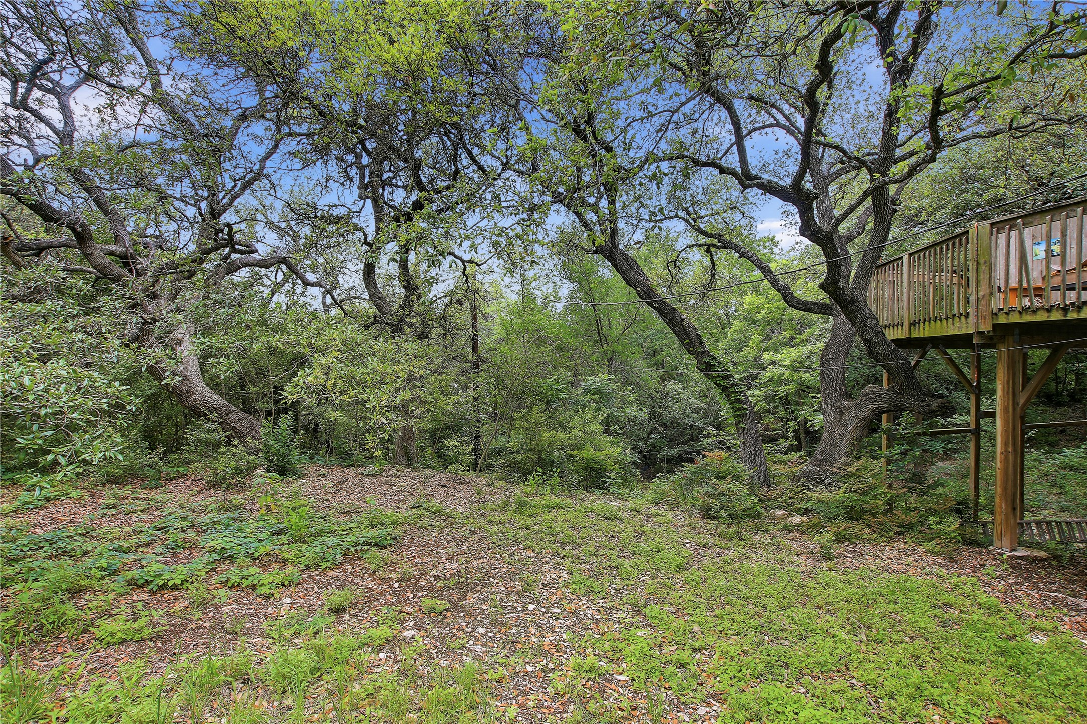 6902 Rifle Bend, Unit B Austin, TX 78736 - Photo 28 of 34 a view of outdoor space and yard