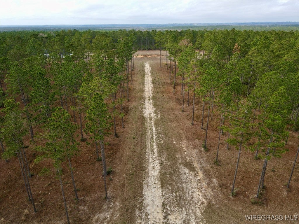 18755 Catherine Bailey Road Andalusia, AL 36420 - Photo 8 of 14 Gallery Image 8