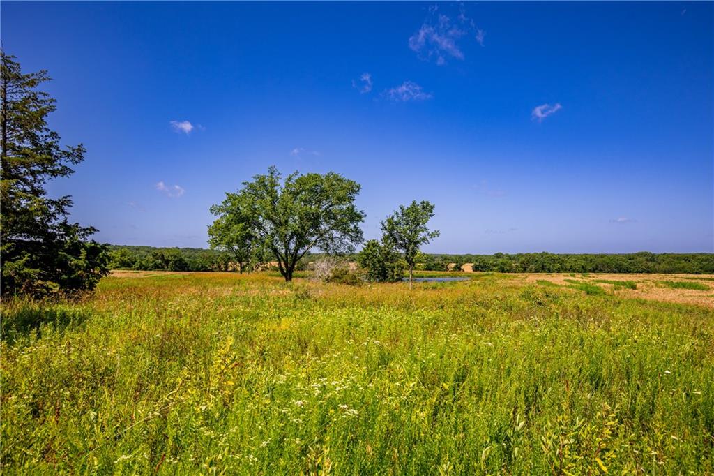 18651 East 750th Road Mound City, KS 66056 - Photo 11 of 74