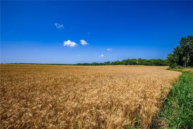 $970,000 | 18651 East 750th Road, Mound City, KS 66056