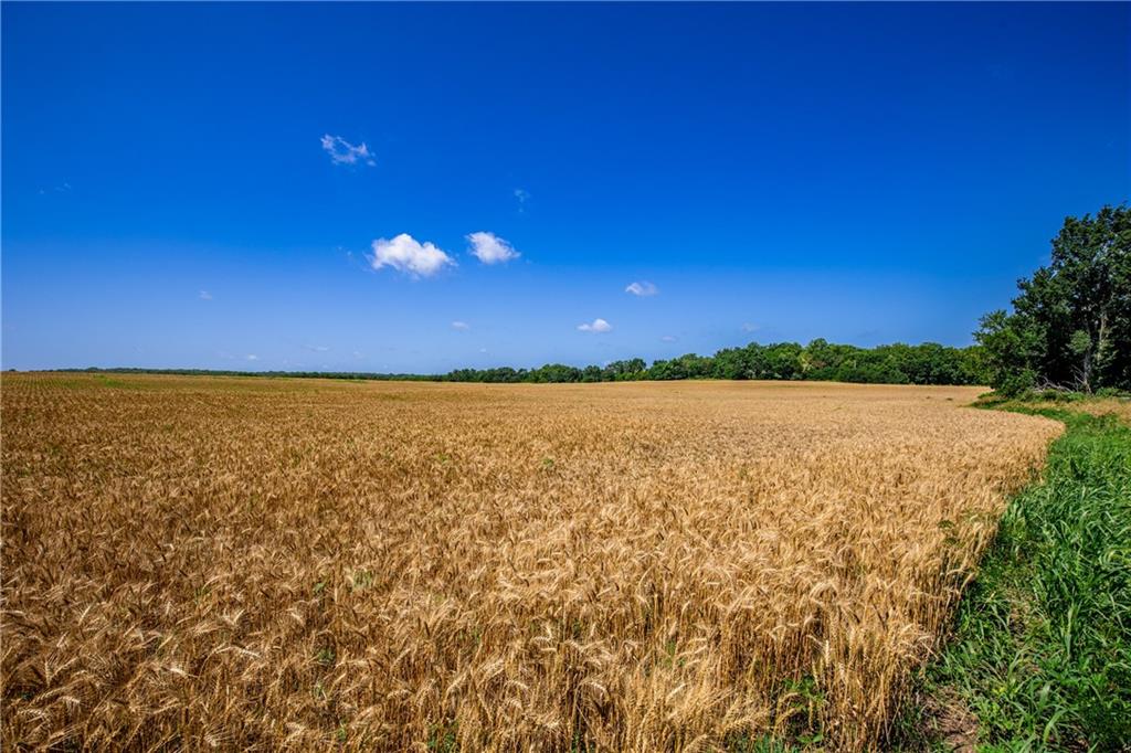 18651 East 750th Road Mound City, KS 66056 - Photo 26 of 74