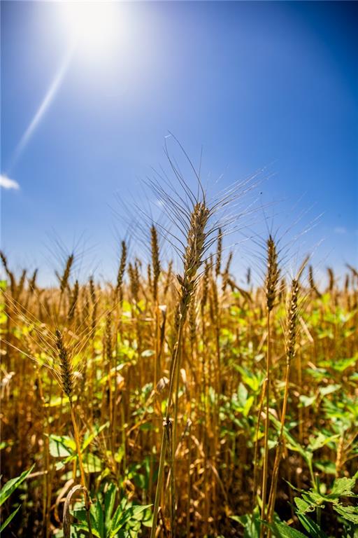 18651 East 750th Road Mound City, KS 66056 - Photo 27 of 74