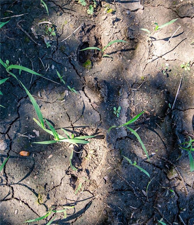 18651 East 750th Road Mound City, KS 66056 - Photo 32 of 74