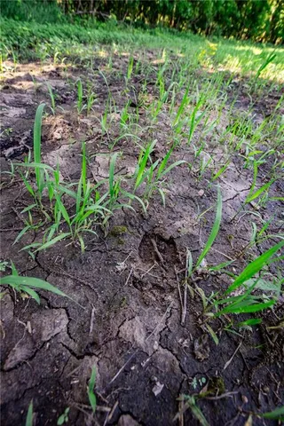 $970,000 | 18651 East 750th Road, Mound City, KS 66056