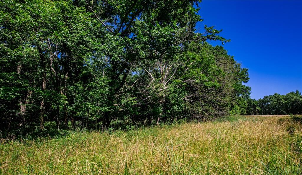 18651 East 750th Road Mound City, KS 66056 - Photo 39 of 74