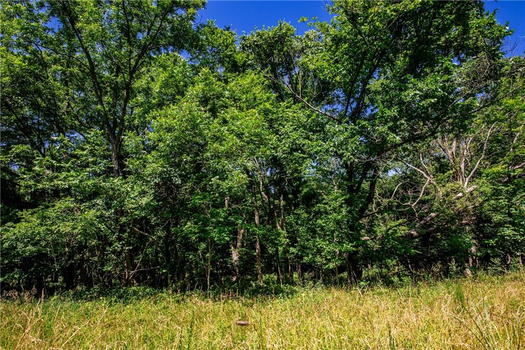 18651 East 750th Road Mound City, KS 66056 - Photo 40 of 74