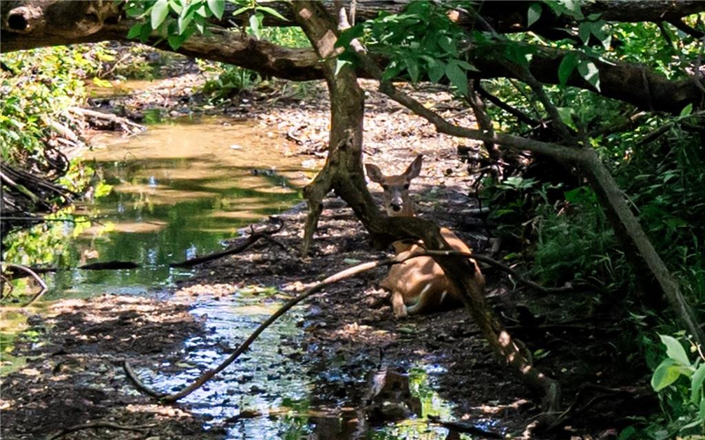 18651 East 750th Road Mound City, KS 66056 - Photo 4 of 74