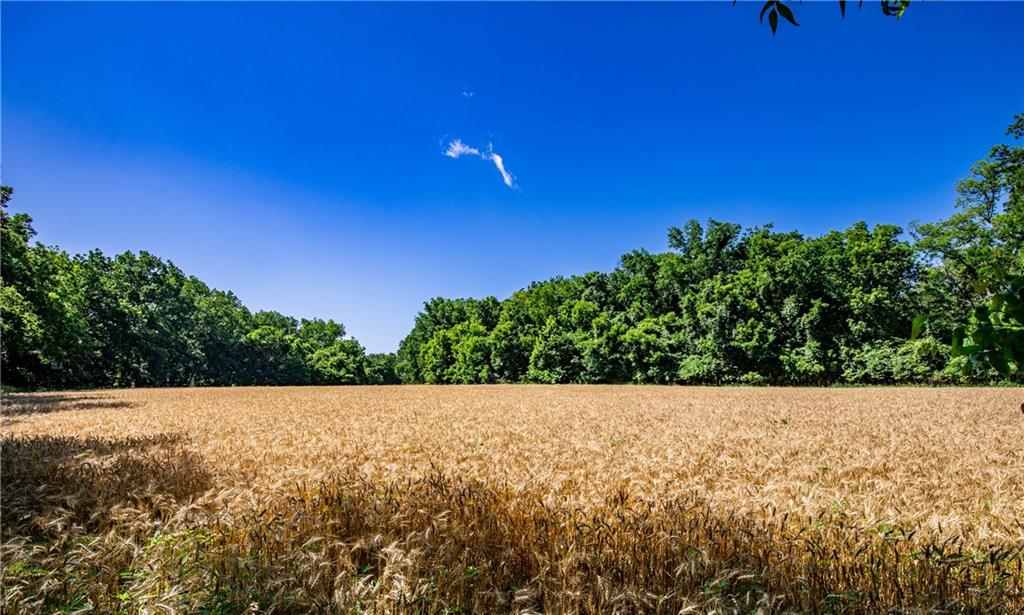 18651 East 750th Road Mound City, KS 66056 - Photo 43 of 74