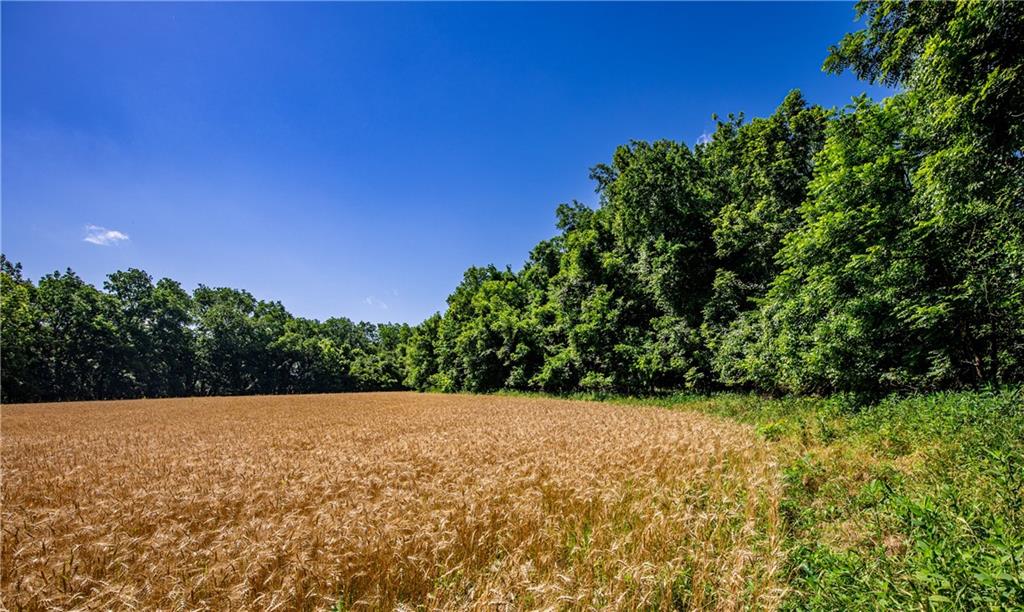 18651 East 750th Road Mound City, KS 66056 - Photo 44 of 74