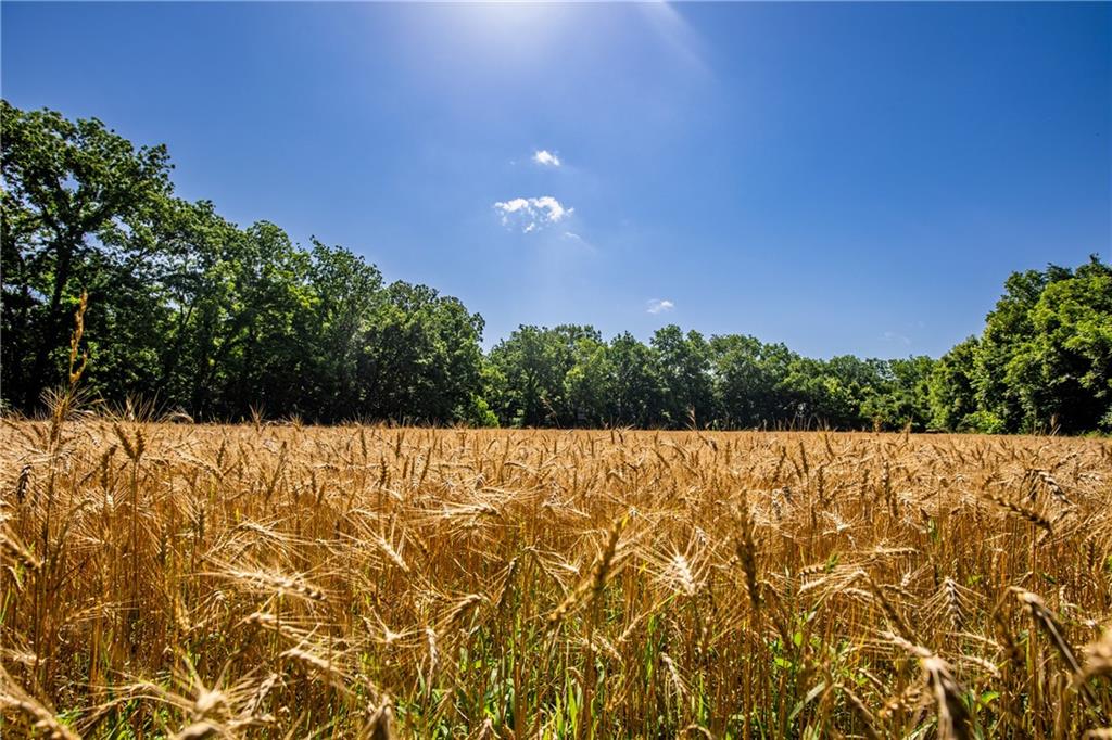 18651 East 750th Road Mound City, KS 66056 - Photo 46 of 74