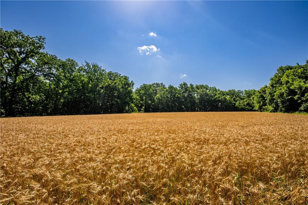 18651 East 750th Road Mound City, KS 66056 - Photo 47 of 74