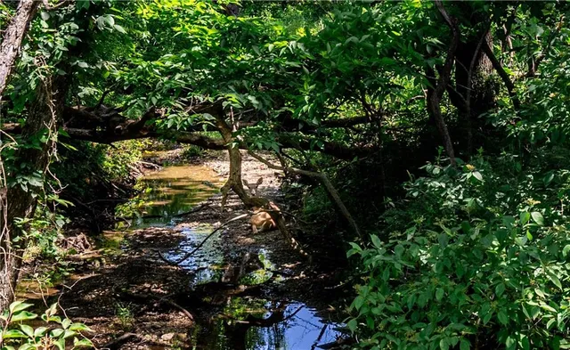 $970,000 | 18651 East 750th Road, Mound City, KS 66056