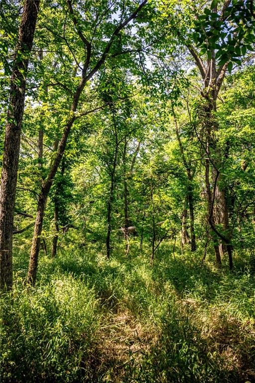 18651 East 750th Road Mound City, KS 66056 - Photo 51 of 74