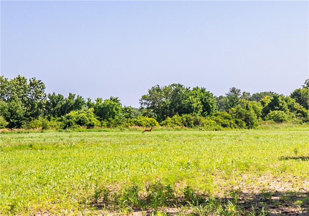 18651 East 750th Road Mound City, KS 66056 - Photo 52 of 74