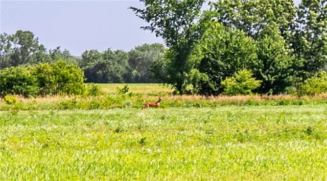 $970,000 | 18651 East 750th Road, Mound City, KS 66056