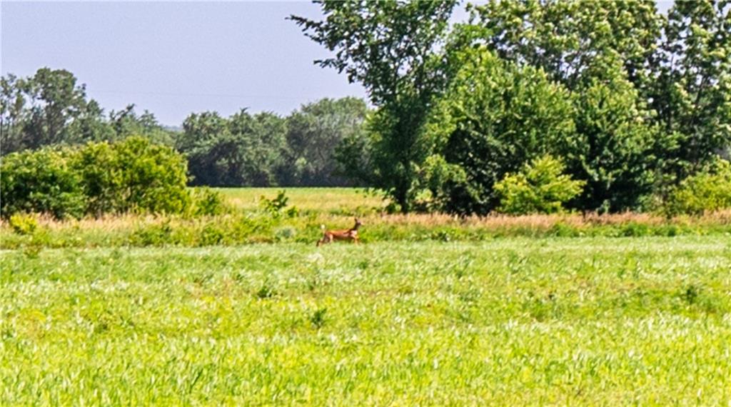 18651 East 750th Road Mound City, KS 66056 - Photo 53 of 74