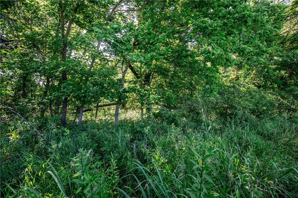 18651 East 750th Road Mound City, KS 66056 - Photo 54 of 74