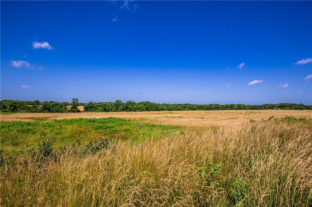 18651 East 750th Road Mound City, KS 66056 - Photo 7 of 74