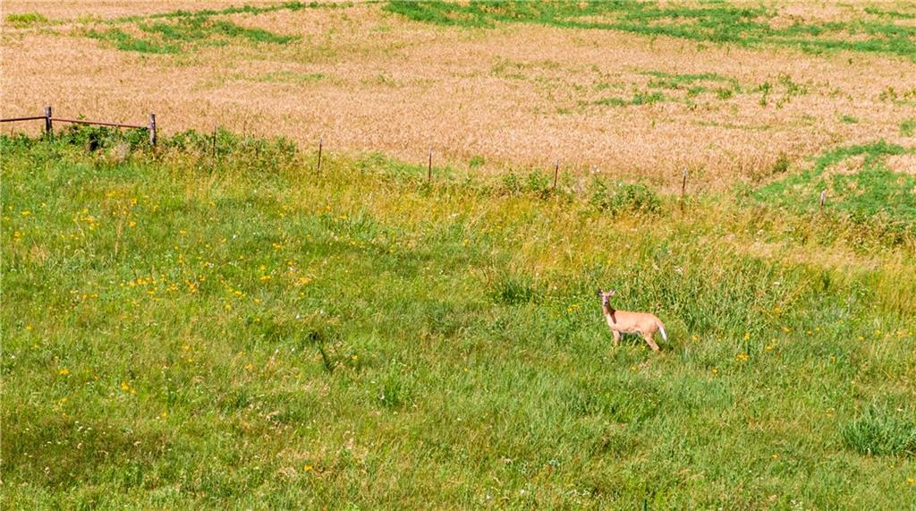 18651 East 750th Road Mound City, KS 66056 - Photo 72 of 74