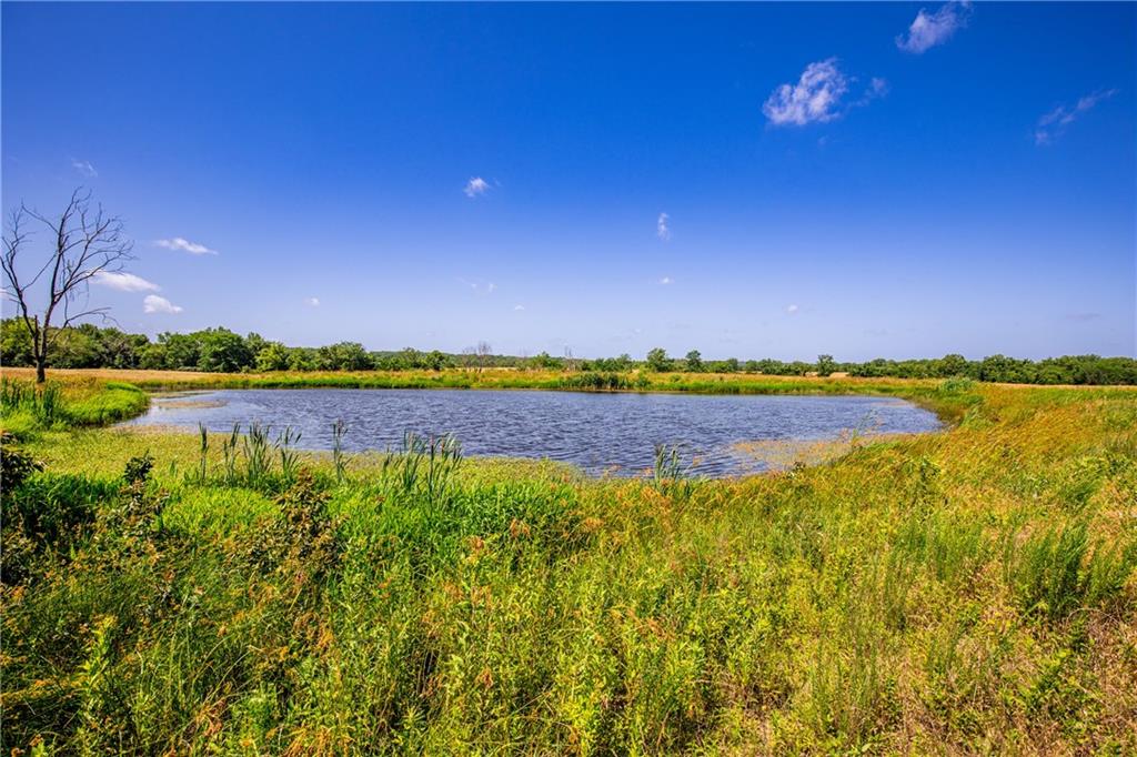 18651 East 750th Road Mound City, KS 66056 - Photo 10 of 74