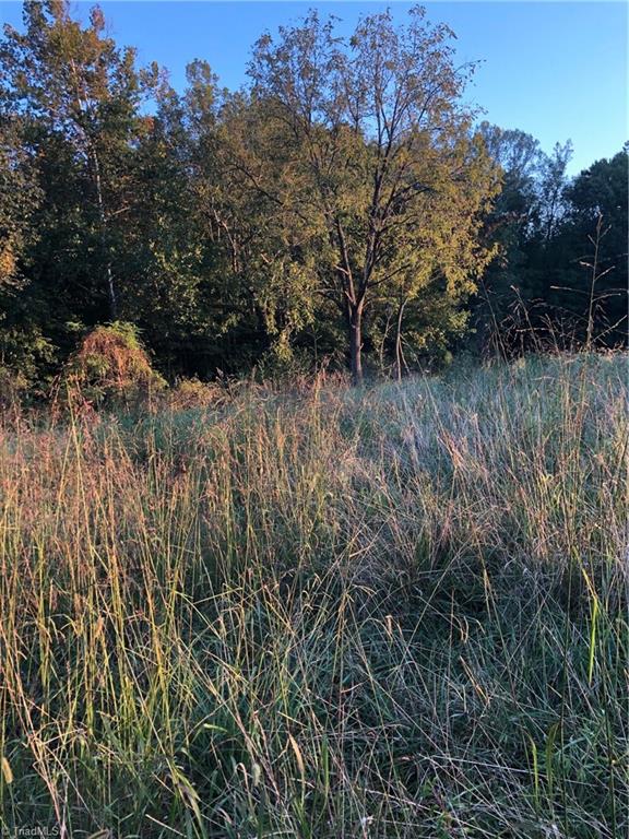 0 Sunset View Road Reidsville, NC 27320 - Photo 1 of 3