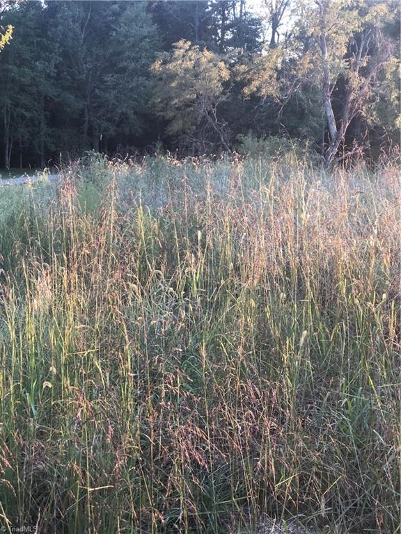 0 Sunset View Road Reidsville, NC 27320 - Photo 2 of 3
