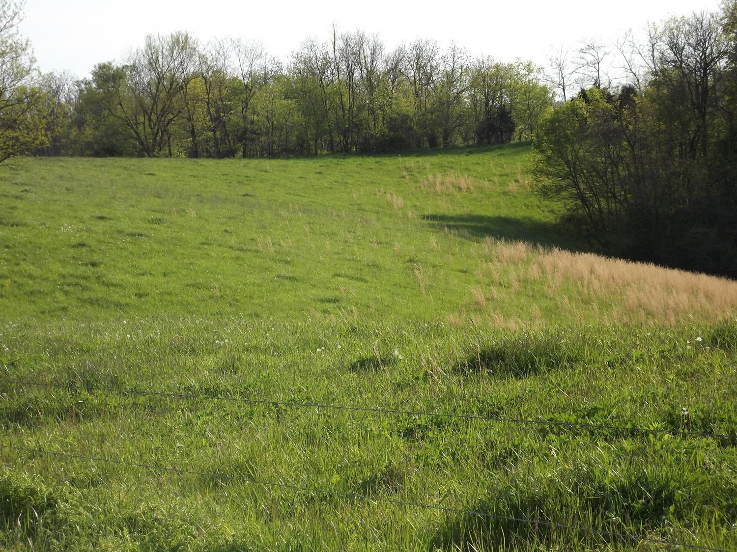 5000 Battle Road Mackville, KY 40040 - Photo 31 of 35 Photo 31