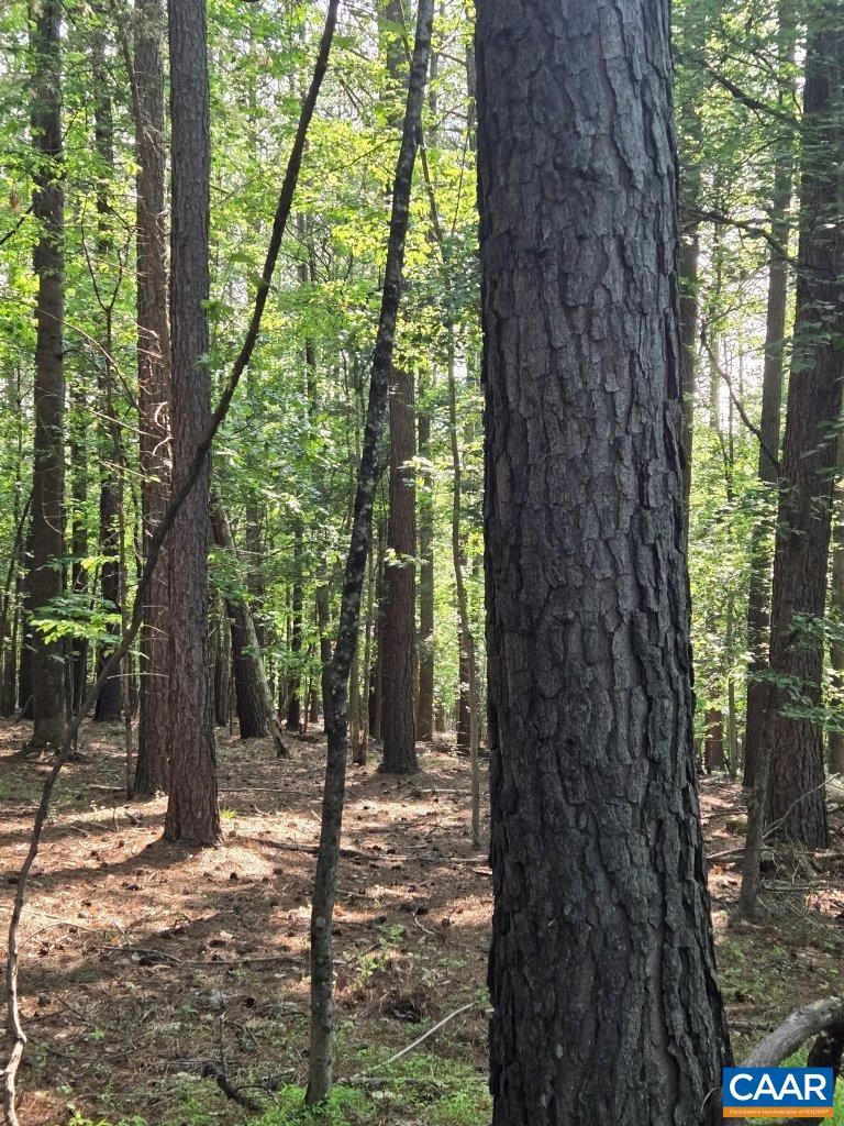 243 Huff Creek Trail Amherst, VA 24521 - Photo 37 of 75