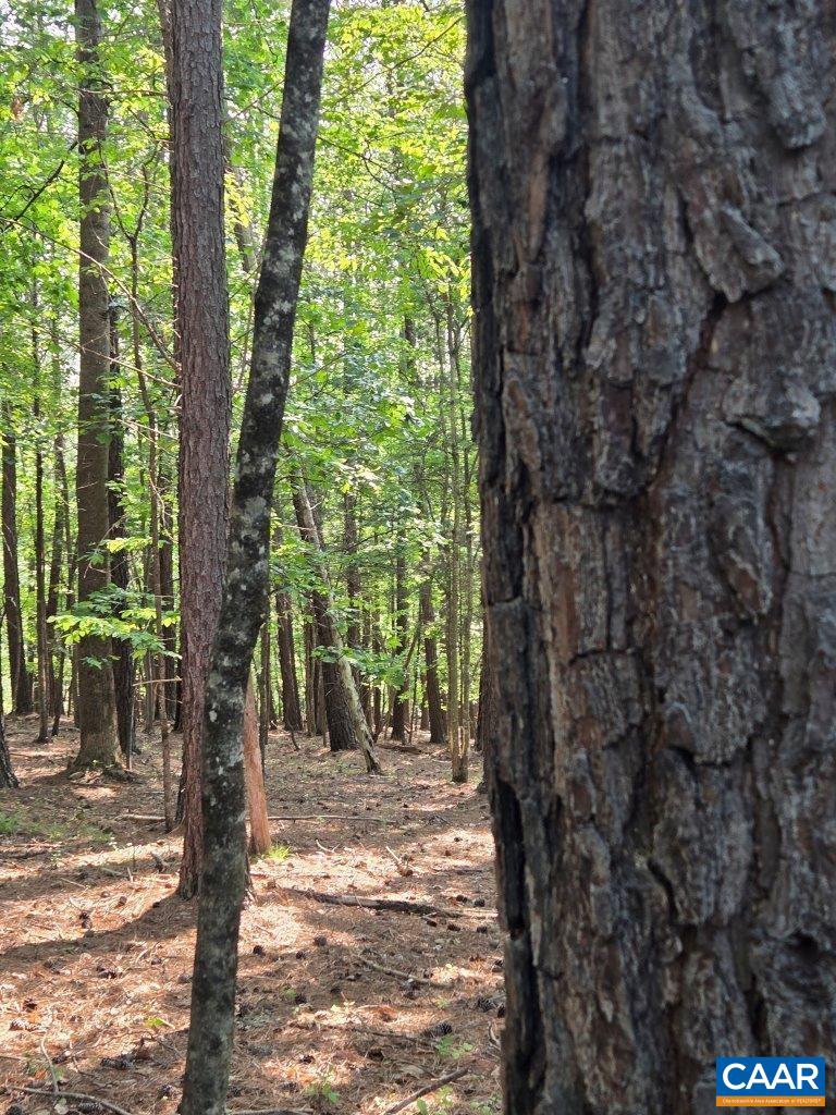 243 Huff Creek Trail Amherst, VA 24521 - Photo 39 of 75