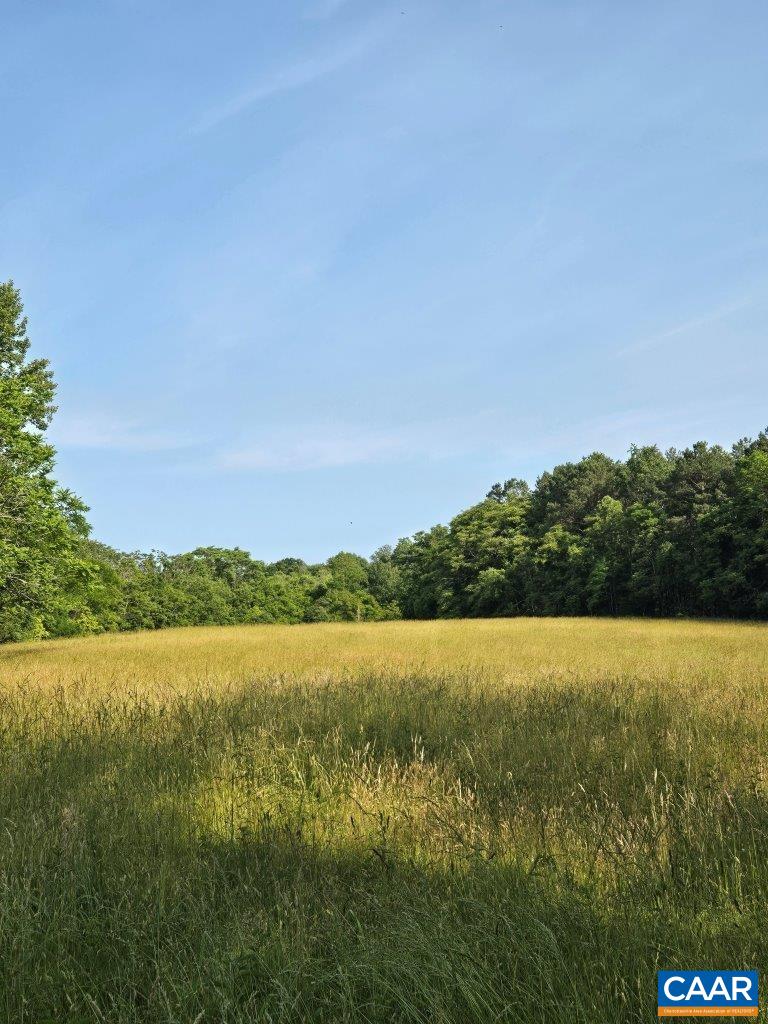 243 Huff Creek Trail Amherst, VA 24521 - Photo 41 of 75