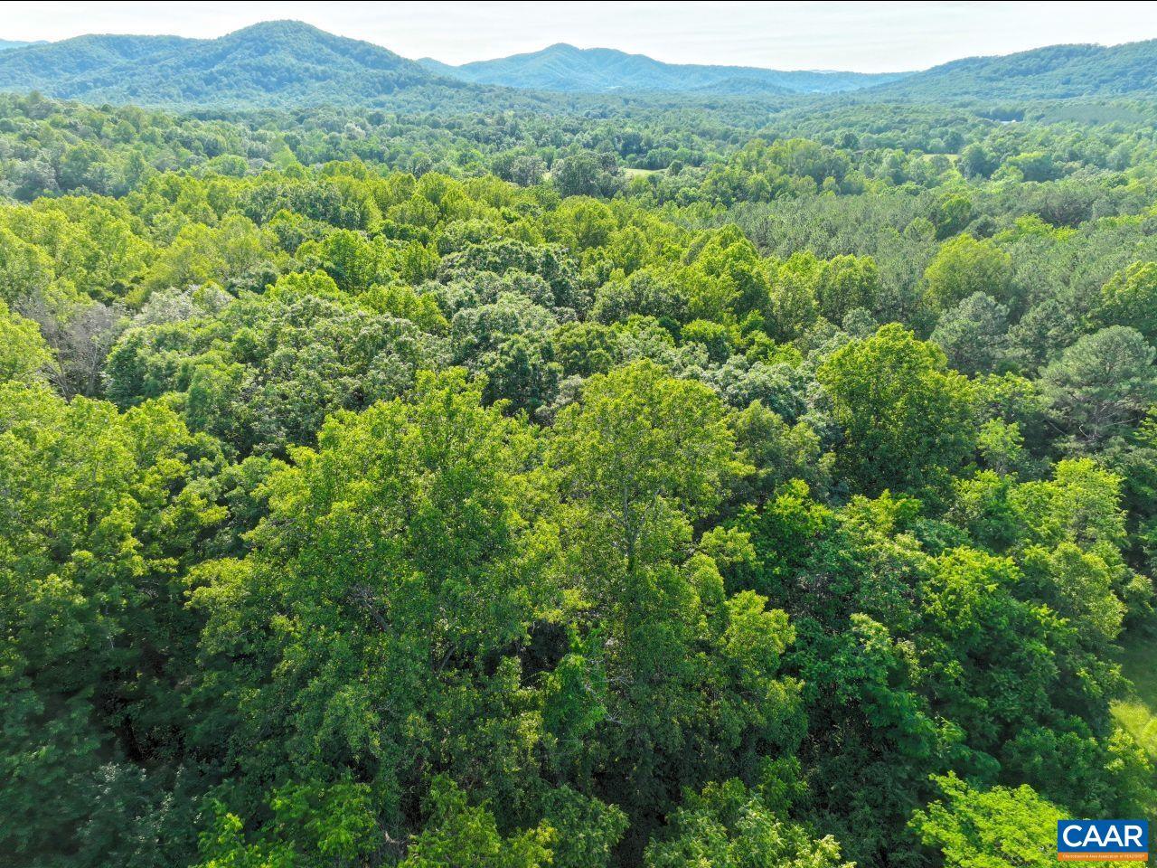 243 Huff Creek Trail Amherst, VA 24521 - Photo 72 of 75