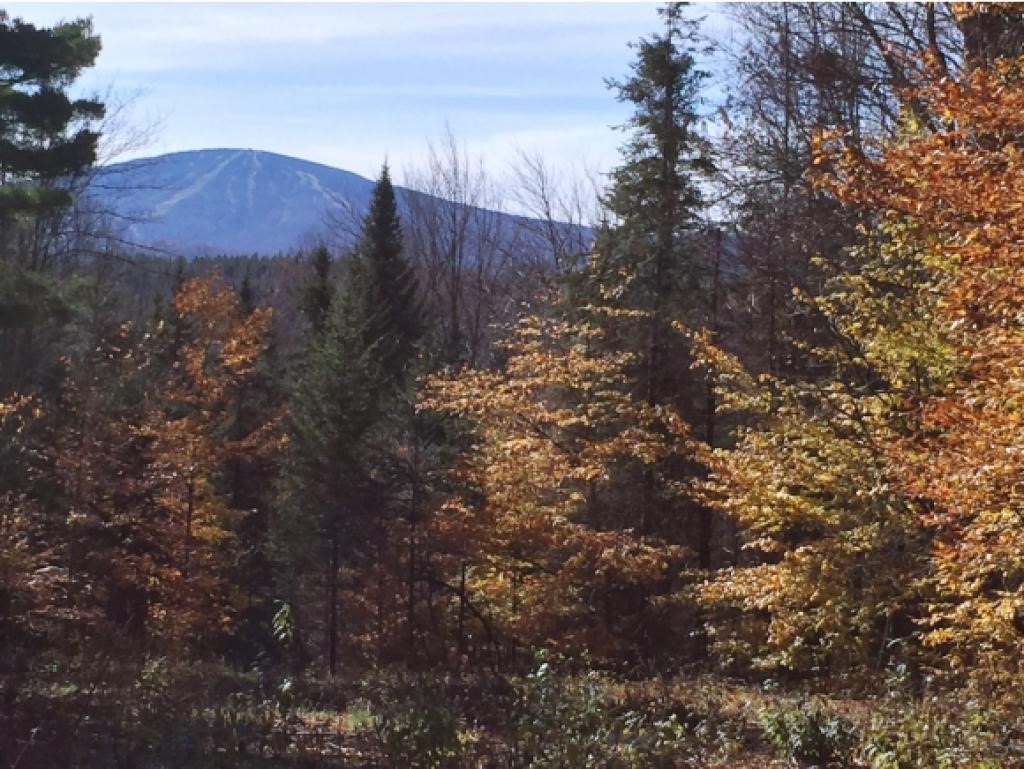 0 French Hollow Road Winhall, VT 05340 - Photo 3 of 6 Gallery Image 3