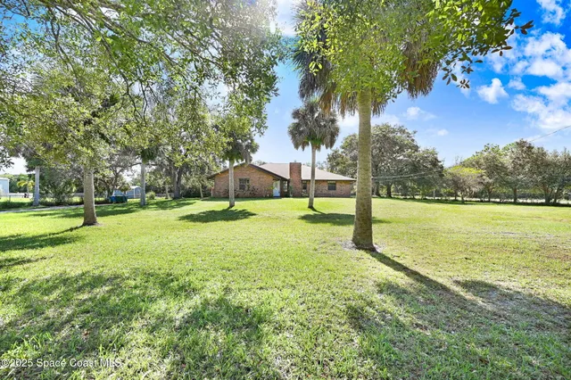 a view of a trees in a park