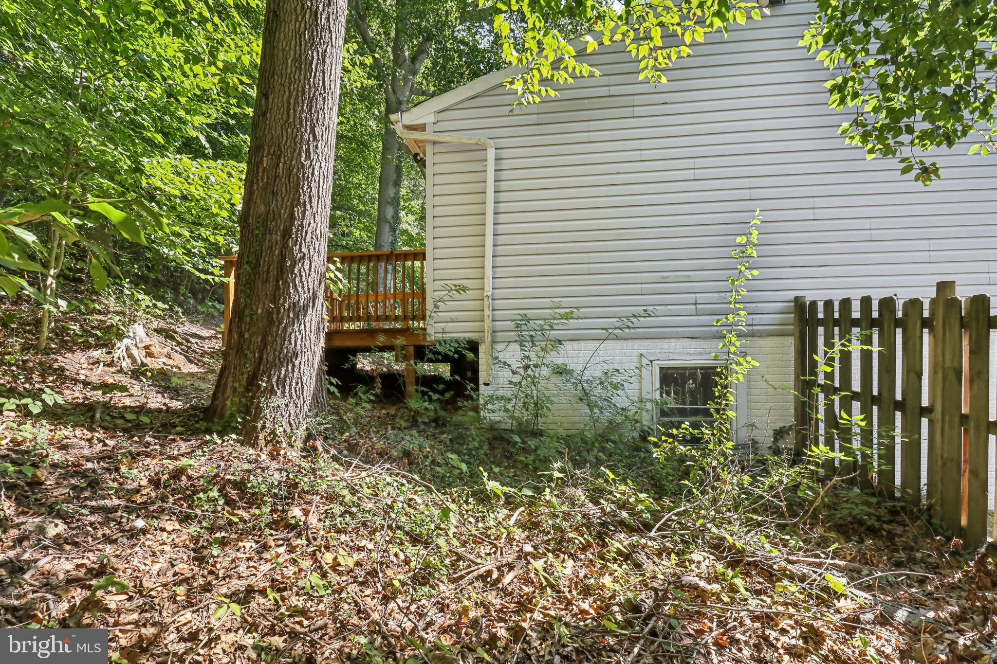 1000 Ute Way Capitol Heights, MD 20743 - Photo 46 of 51 a view of a backyard with plants and large trees