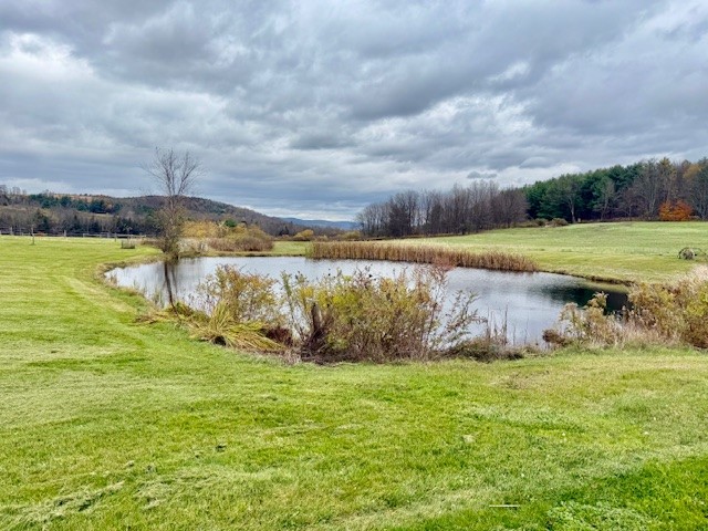 377 Stead Road South New Berlin, NY 13843 - Photo 12 of 44