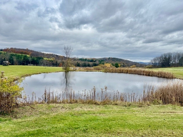 377 Stead Road South New Berlin, NY 13843 - Photo 13 of 44