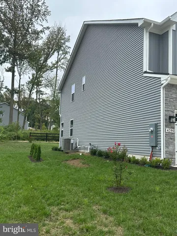 a backyard of a house with plants and large tree