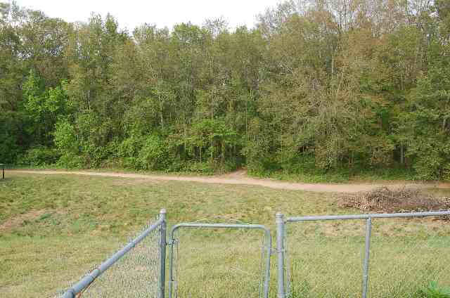 22 McCaughrin Street Pelzer, SC 29669 - Photo 8 of 8