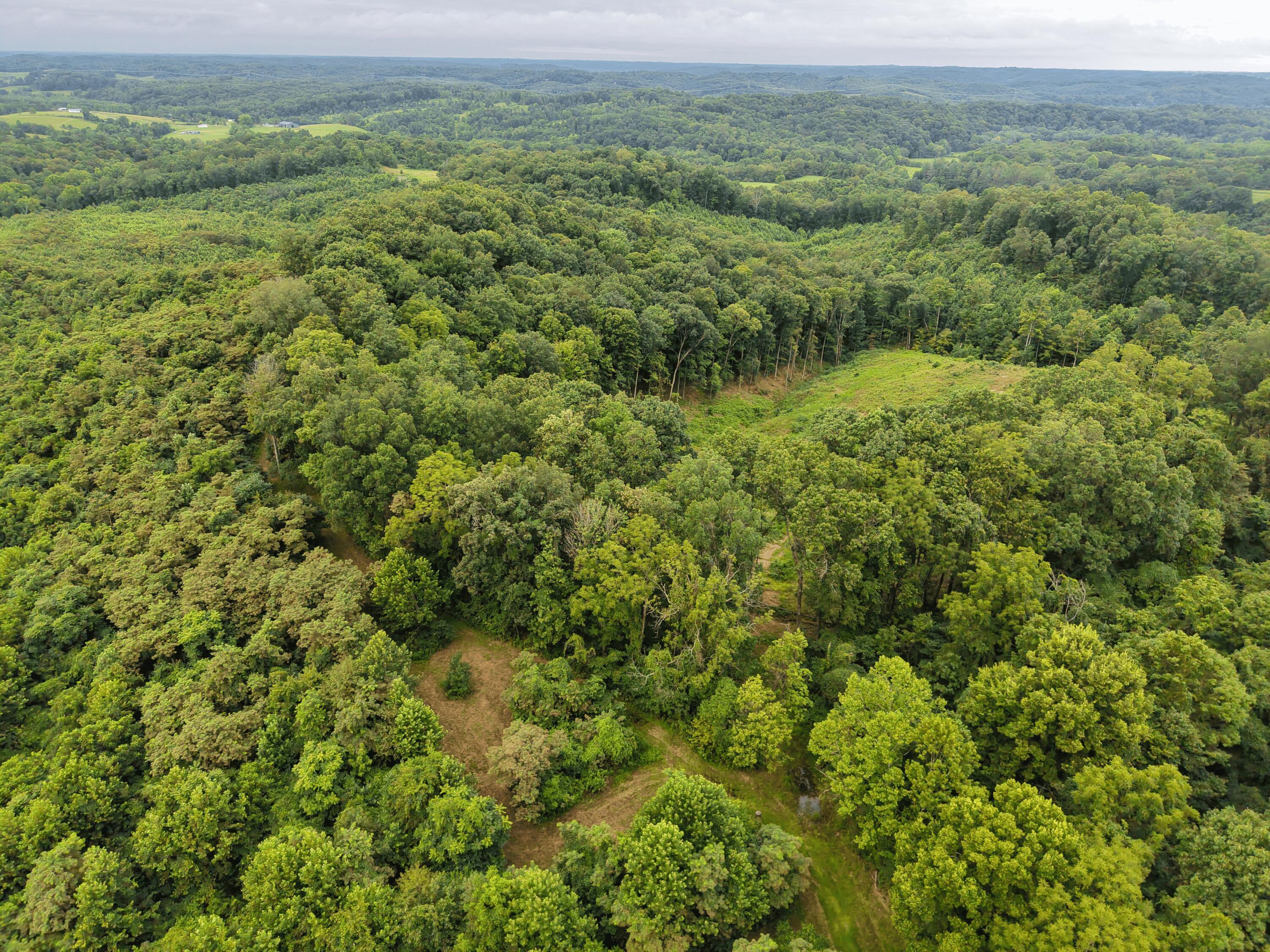 0 Cottrill Road Albany, OH 45710 - Photo 25 of 35 25. Food Plot