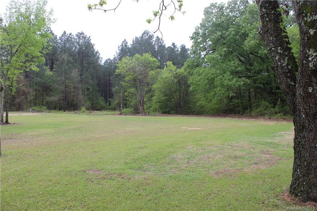 1170 Buchanan Bridge Road Chesterfield, SC 29709 - Photo 3 of 11
