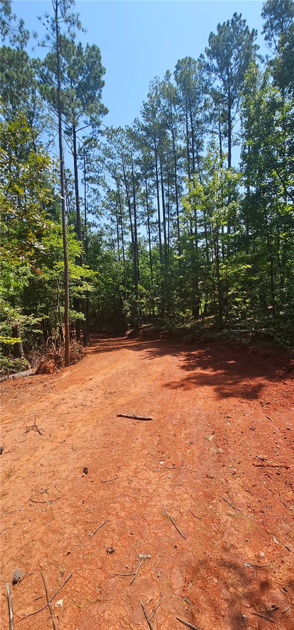 1702 Goings Road Chester, SC 29706 - Photo 20 of 24 Towering pines frame a cleared red clay path on this wooded acreage.