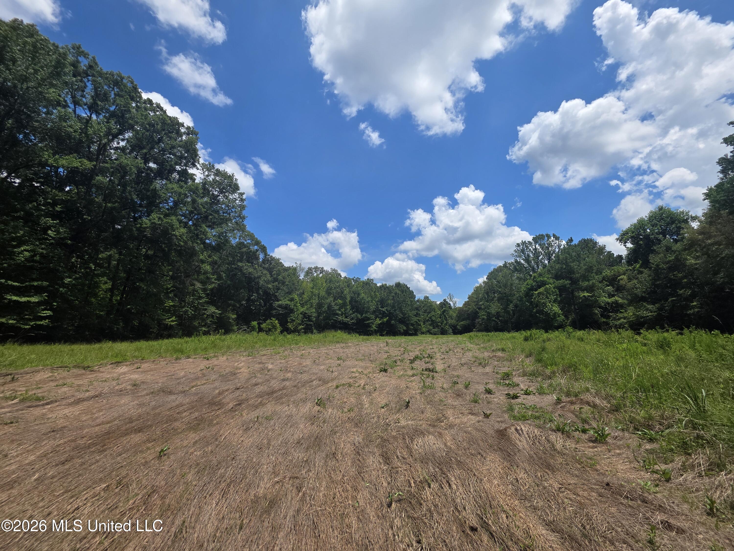 538 East Scrd Morton, MS 39117 - Photo 17 of 30 37144