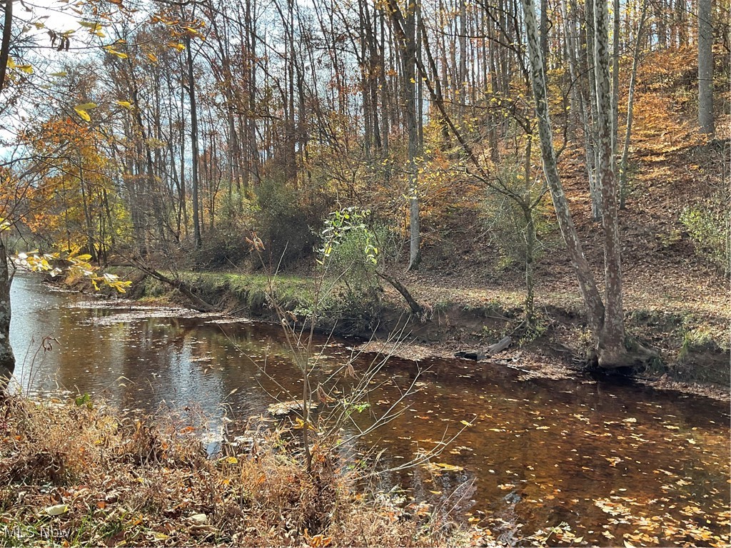 0 White Oak Road Walker, WV 26180 - Photo 27 of 39