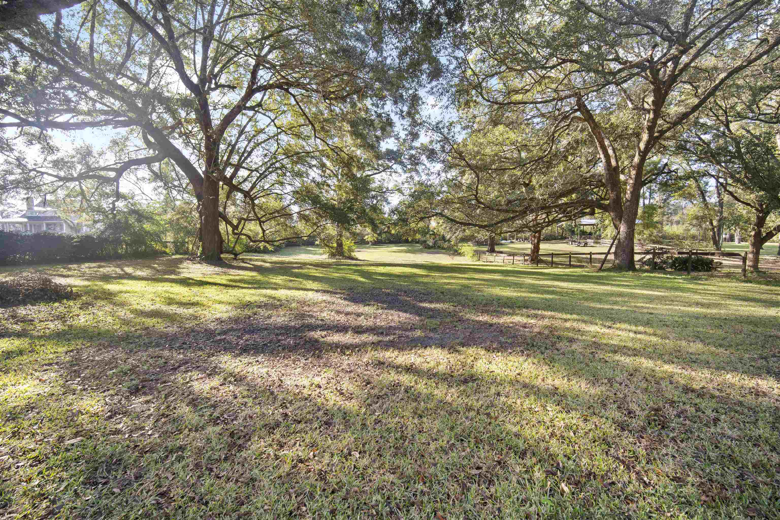 7240 Wood Acres Road Fairhope, AL 36532 - Photo 13 of 21 Yard