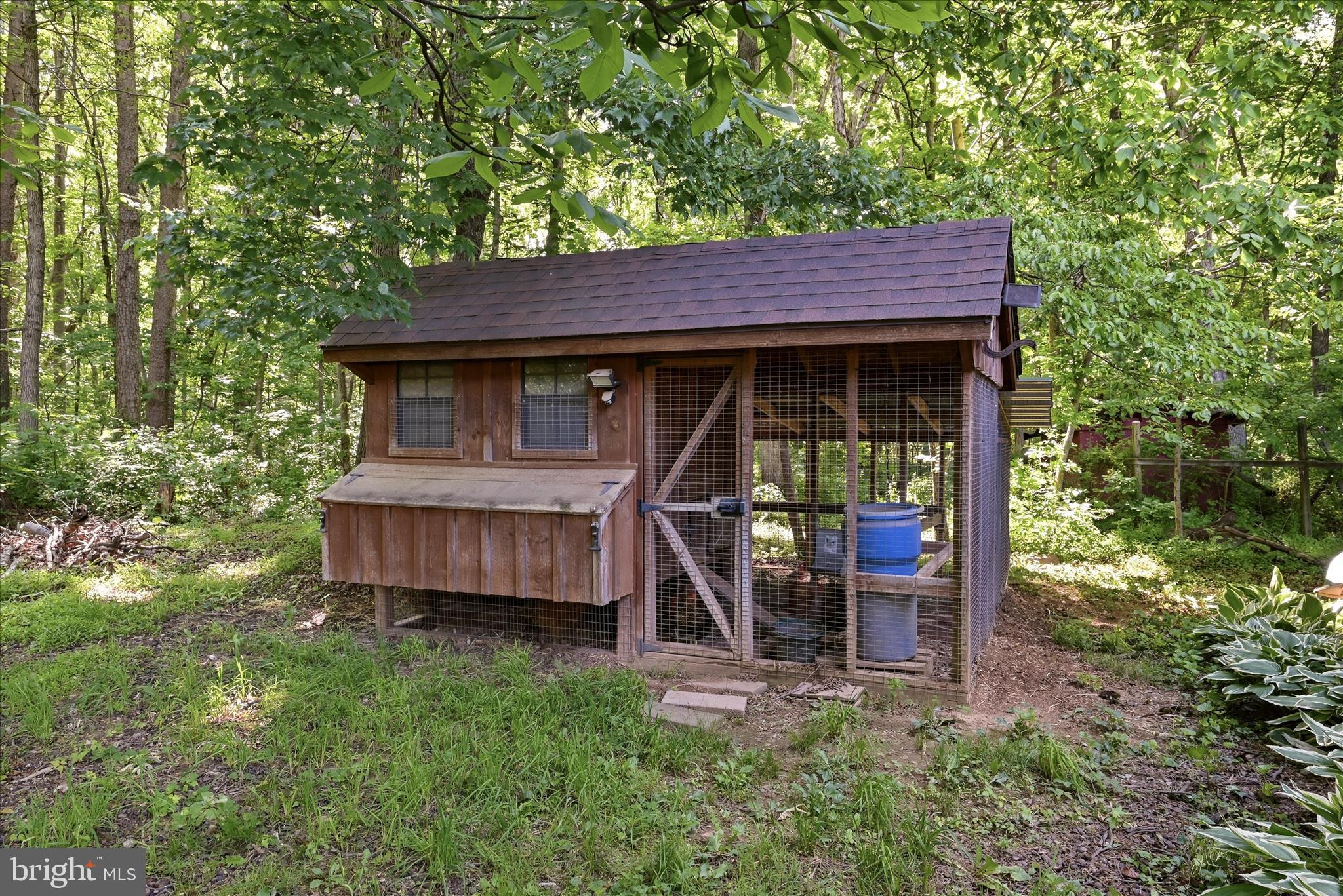 338 Springfield Estates Drive Rileyville, VA 22650 - Photo 71 of 99 chicken coop