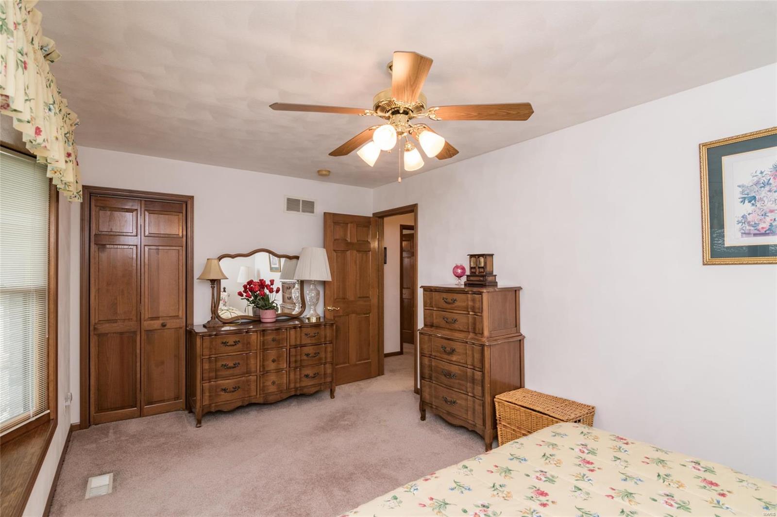 11401 Leuscher Road Alhambra, IL 62001 - Photo 19 of 46