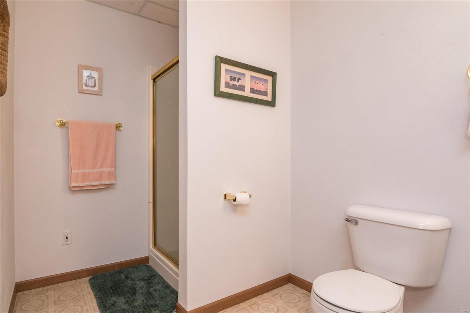 11401 Leuscher Road Alhambra, IL 62001 - Photo 26 of 46