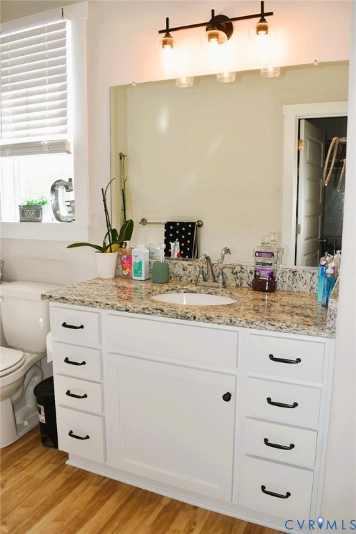 288 Moore Road Farmville, VA 23901 - Photo 24 of 33 a bathroom with a granite countertop sink toilet and mirror