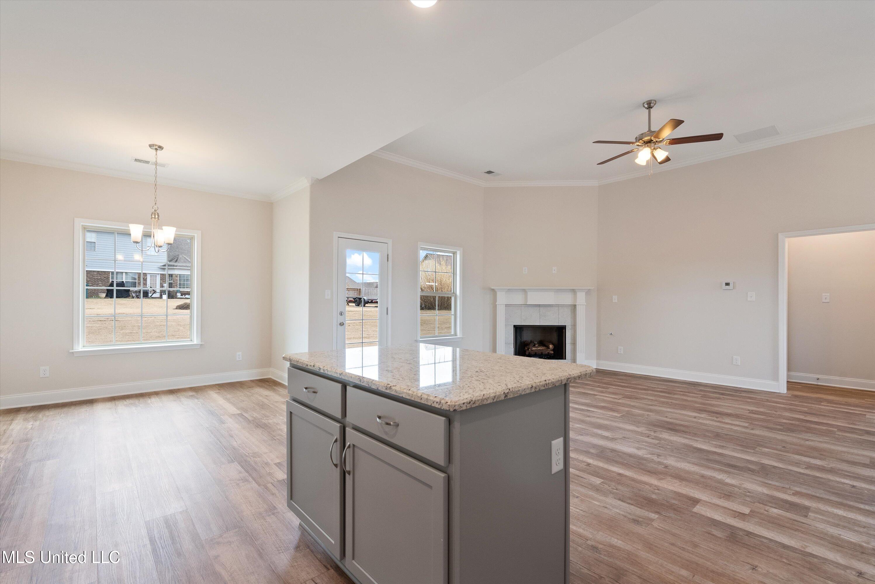 896 Andys Way Hernando, MS 38651 - Photo 15 of 31 12-DSC02892