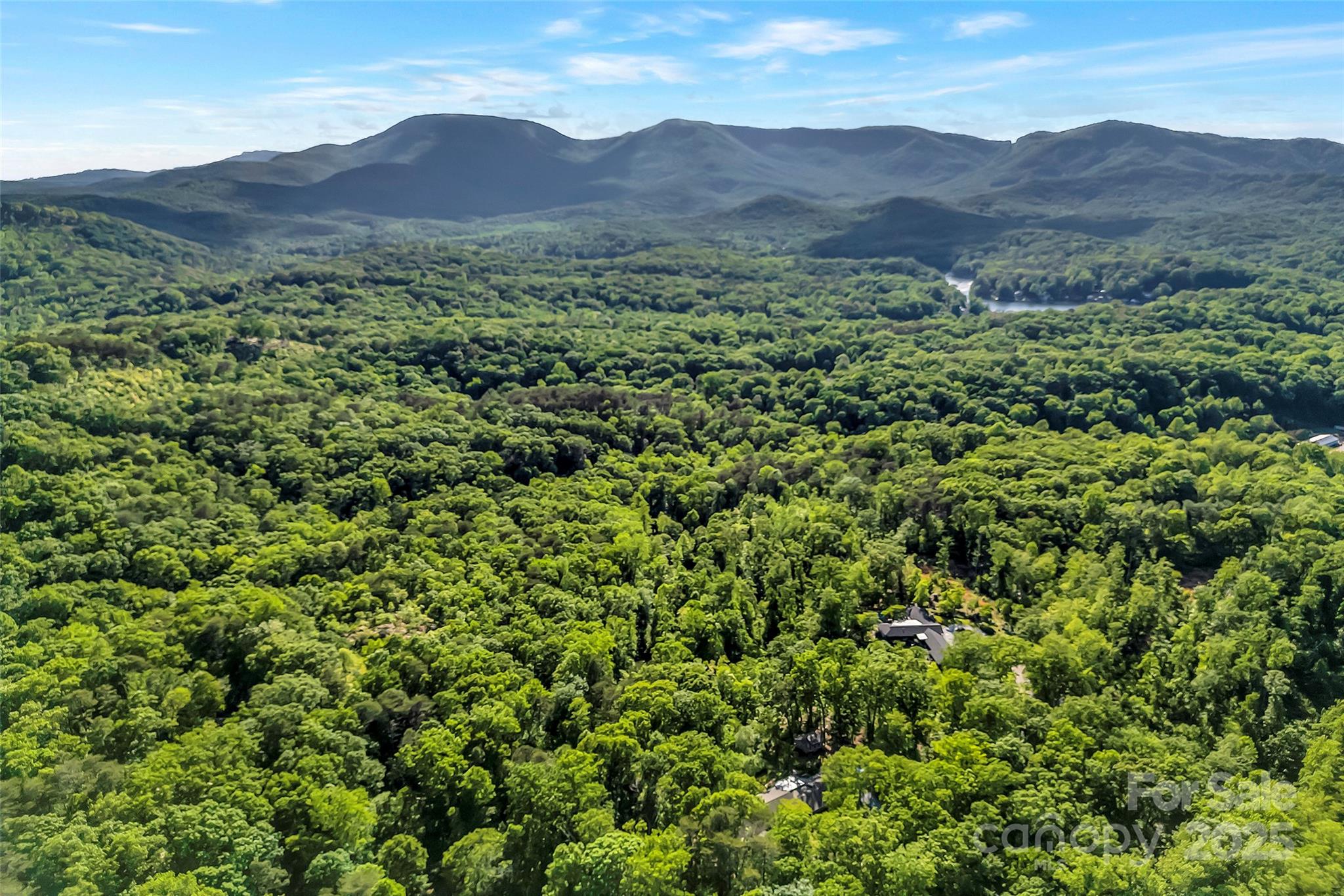 7 Hearthstone Lane Landrum, SC 29356 - Photo 38 of 43 a view of a lush green hillside and a houses